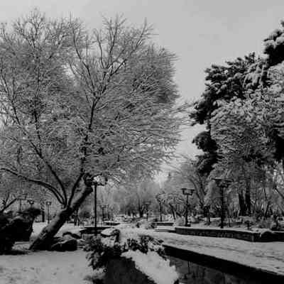 بهزاد لیتو و سپهر خلسه و سیجل - چیکار کردی