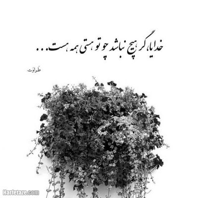 آهنگ آهای دیوونه یکی یدونه یکی ببینه منو تو رو میگه اینا چشونه