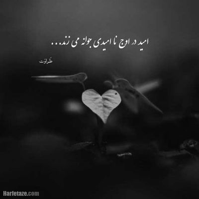 آهنگ غیر تو کسی نیست بکنه قلبمو از جاش