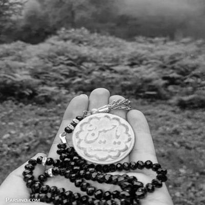 مداحی هلابیکم یا زوار الحسین باسم کربلایی