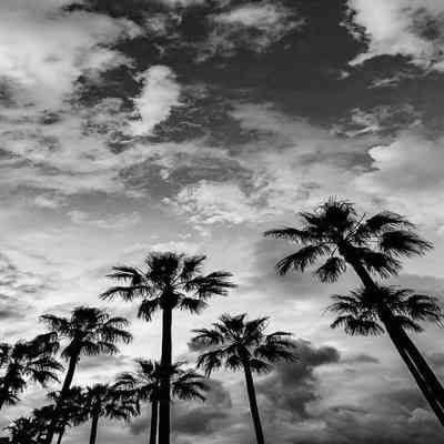 آهنگ دلو میکنی میبری هر وری که چی بریم اینوری اونوری هر وری بگی آرشا