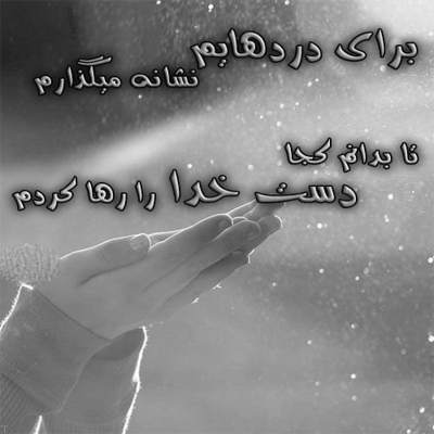 آهنگ دیوانه چو من عاشق اگر بود به تو دل میبست