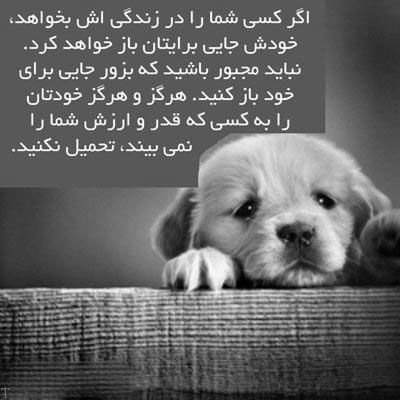 آهنگ زندگی با یه مترسک لمس دنیای محاله