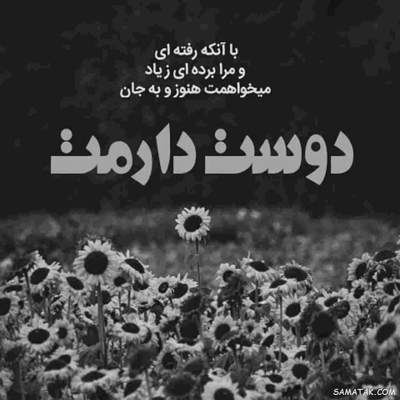 آهنگ وای از این قصه ی شیرین وای از این قصه ی لیلی