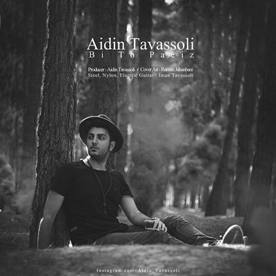 دانلود آهنگ آیدین توسلی بی تو پاییز