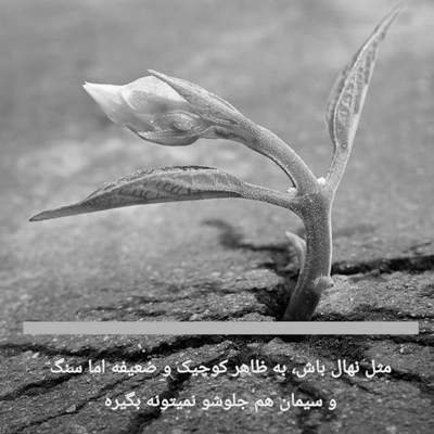 آهنگ اونهمه گفتی پشتمی پس چی شد