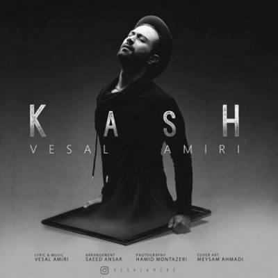 دانلود آهنگ وصال امیری کاش