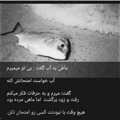 آهنگ نگاه کن زندگی امروز عجب حال خوشی داره