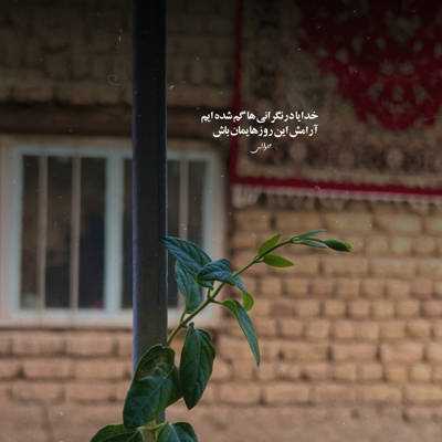 آهنگ بازم رو قلب خستم زخماتو جا میزاری