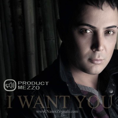 دانلود آهنگ ناصر زینعلی تورو می خوام