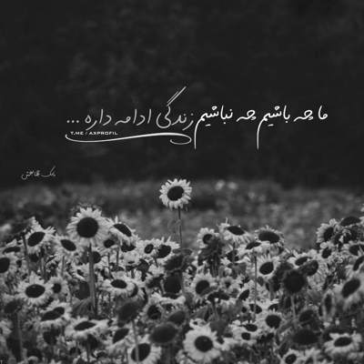 آهنگ برو فکر خودت باش پر از گرگه زمونه