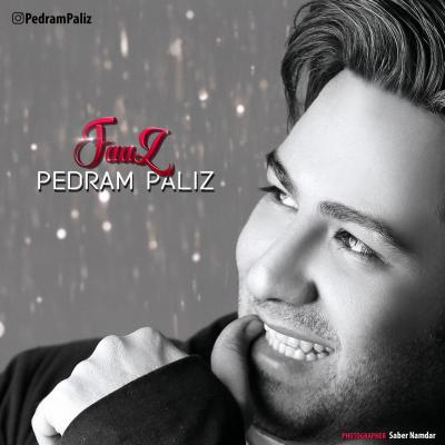 دانلود آهنگ پدرام پالیز فاز بالاترین کیفیت ممکن