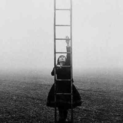 آهنگ نردبون وقتی شهر پر لات الکیه پر شده از نوچه و چاقالا