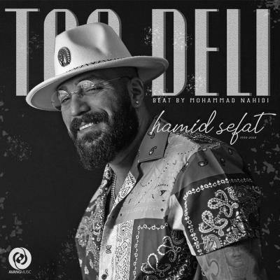 دانلود آهنگ حمید صفت تو دلی