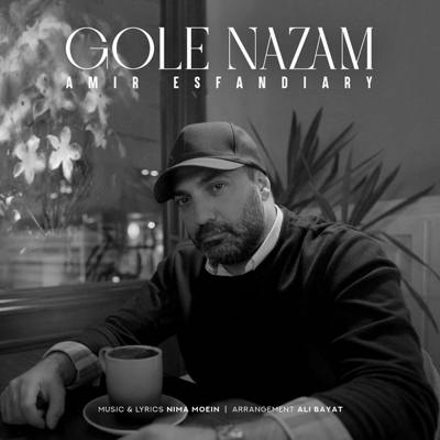 دانلود آهنگ امیر اسفندیاری گل نازم