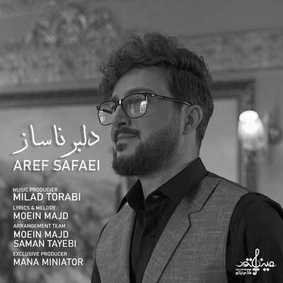 دانلود آهنگ عارف صفایی دلبر ناساز