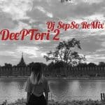 DeepTori2