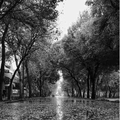 آهنگ گیر کردم تو شبی که گفتی باید جدا شیم