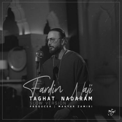 دانلود آهنگ فردین ناجی طاقت ندارم (اسلو ورژن)