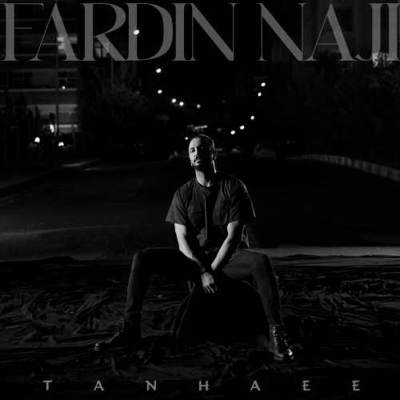 دانلود آهنگ فردین ناجی تنهایی