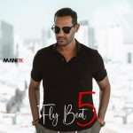 Flybeat 5