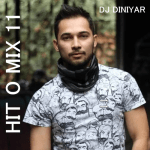 Hit O Mix 11