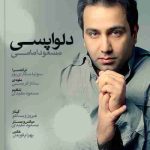 Masoud Emami Delvapasi