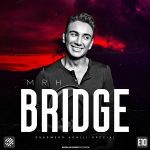 Bridge 10 (Shadmehr's Special)