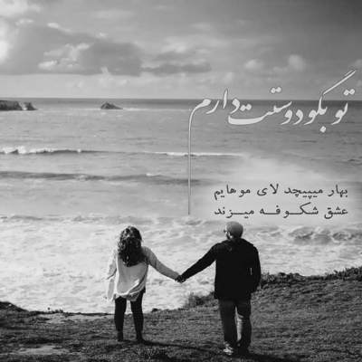 آهنگ بی تو به سامان نرسم ای سر و سامان همه تو