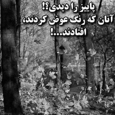 آهنگ میگردم دنبالت لا به لای قصه ها گشتم نبود نگرد نیست کسی مثل ما