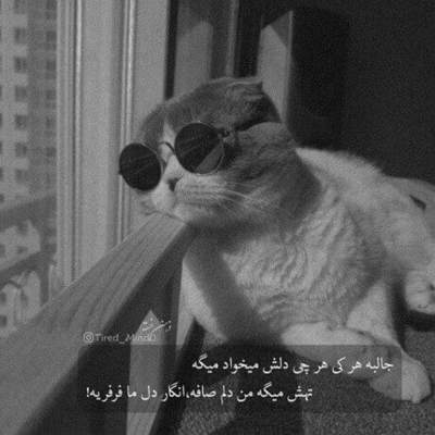 آهنگ داری دق میدی منو خب مگه مجبوری