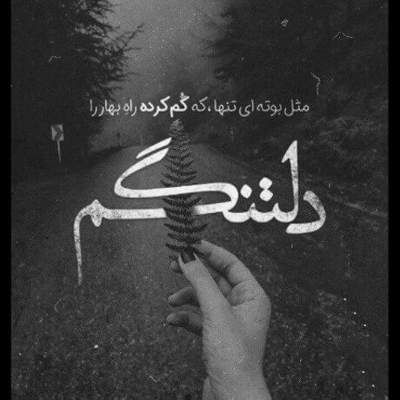 آهنگ من دلم به چی خوشه کی هوامو داره