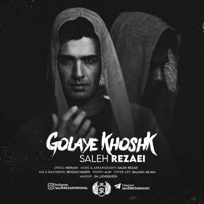 دانلود آهنگ صالح رضایی گلای خشک