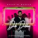 دل و دلدار (گیتار ورژن)