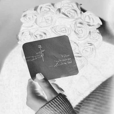 آهنگ تو یه گل بودی که چیدم از رو شاخه