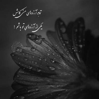 آهنگ نفهمیدم یهو دلم رفت