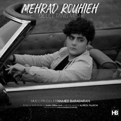 دانلود آهنگ مهراد روحیه دلت تنگ میشه