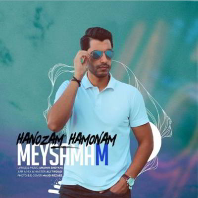 دانلود آهنگ میثم رجب پور هنوزم همونم