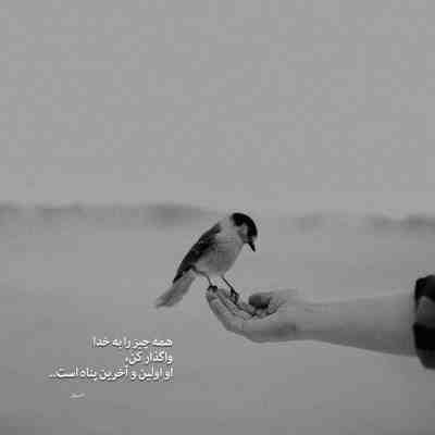 آهنگ همه دروغاتو میفهمیدم ولی دوست داشتمت من ساده آرزوم بوده همیشه داشتنت