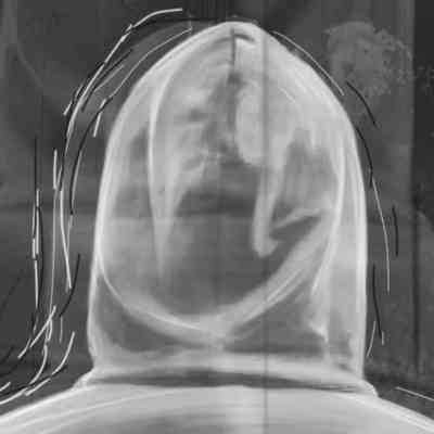 آهنگ من عاشق كورم از حاشيه دورم ديوانه ترم كن بى تو برهوتم