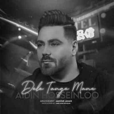 دانلود آهنگ آیدین حسینلو دل تنگ من