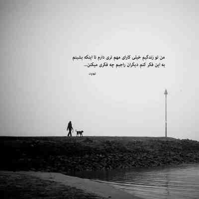 آهنگ موهاتو شونه کنی دل منو دیوونه کنی کاشکی دوری خوبه ولی جاش نی