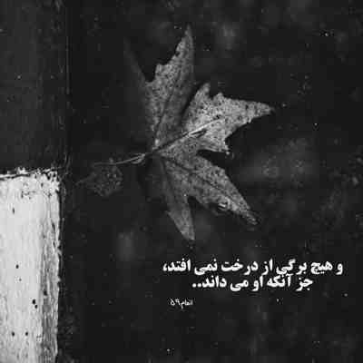 آهنگ سر تو با همه جنگ میکنم تو فقط رو به روی من نباش وقتی به نام تو لشکر میکشم