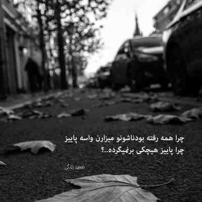 آهنگ عاشقه هر کی اصلا نمیدونه چه مرگشه هر کی مثل من برای تو دلش پر میکشه