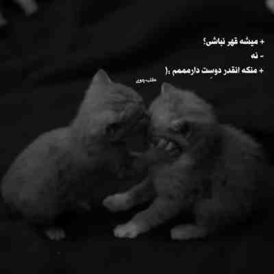 آهنگ قربون تو برم و بر نگردم تاج سرم دور سرت بگردم گشتم و گشتم تو رو پیدا کردم