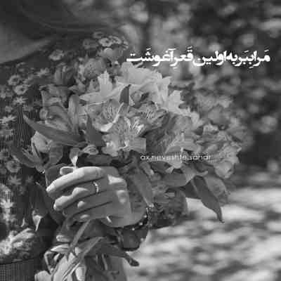 آهنگ دل من وصل توئه هواییت شدم خیلی میخوامت نگاه میکنم به اون چشای نازت اروم میگیرم