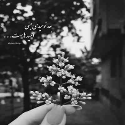 آهنگ مثل من مثل تو دوتا عاشق با یه کلبه و ساحل و قایق ببرم تو رو دورتو شمع و صدف بچینم