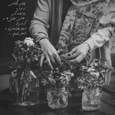 آهنگ هرچه کوشیدم نشد آخر زمین گیرت شدم دل فراری بود از عشق و زنجیرت شدم