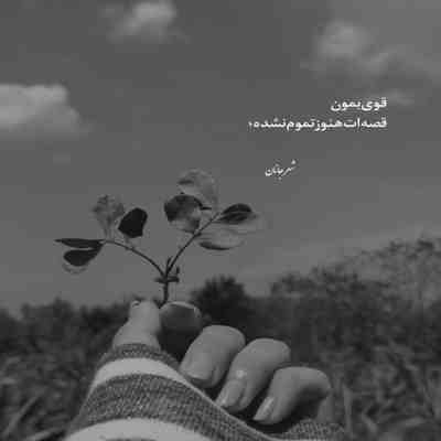 آهنگ دل بردی از من ساده وای از منه دلداده مهرت به جان افتاده با من چه کردی