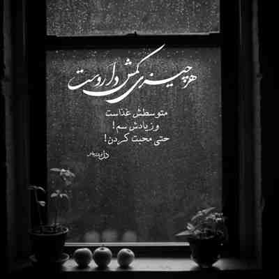 آهنگ بی تو من قدم زدم تموم کوچه های شهرو من حواسم به خودم بود شد حواسم به تو پرتو